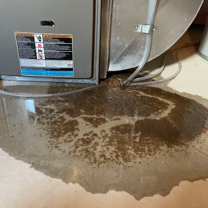 Appliance Leak Cleanup in East Florence, AL